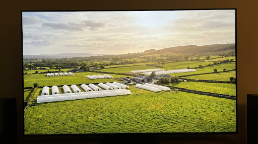 Our Farm in Ballinagarde, Ballyneety